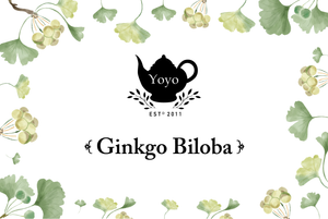 GINKGO BILOBA // Hierba Ancestral